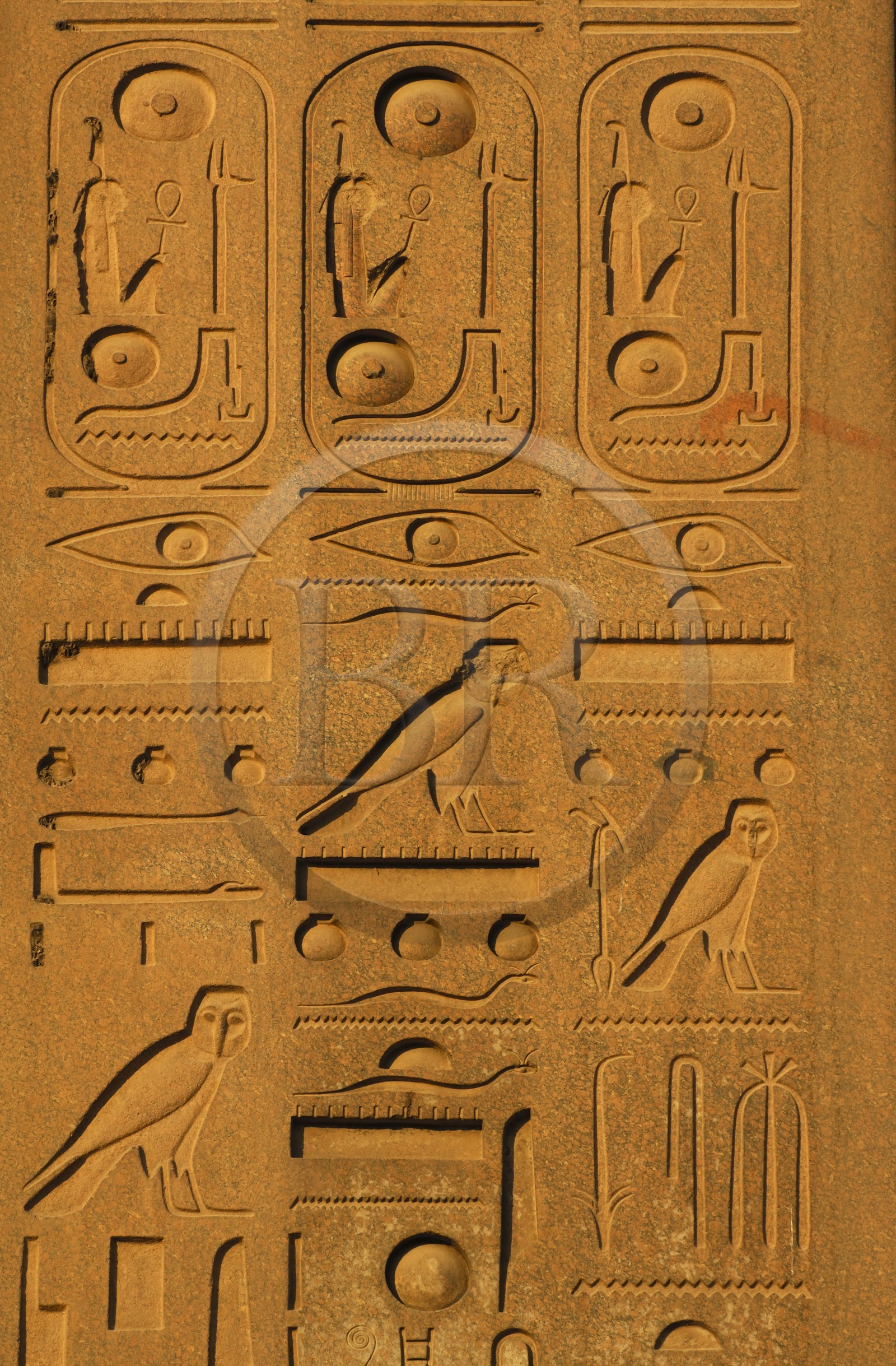 Egypte, Haute Egypte, vallée du Nil, temple de Louxor classé Patrimoine Mondial de l'UNESCO, détail de l'obélisque