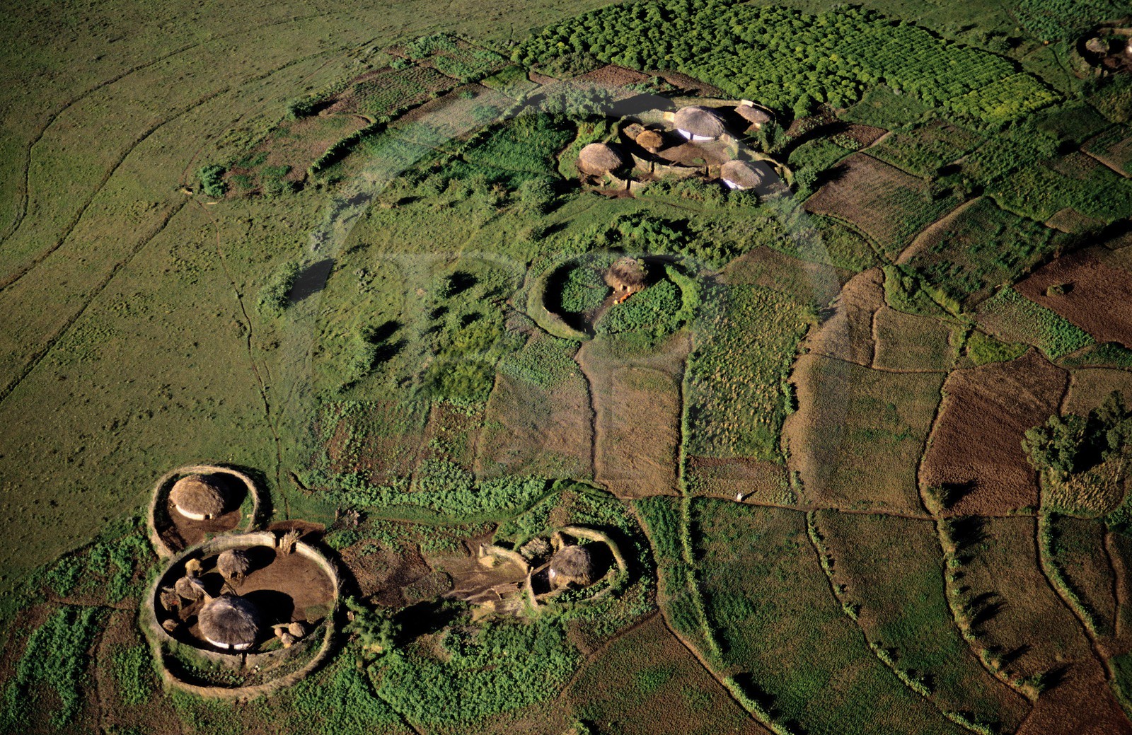 Burundi, traditional housing rugo scattered on a hill of the region of Mugongomanga (aerial view)