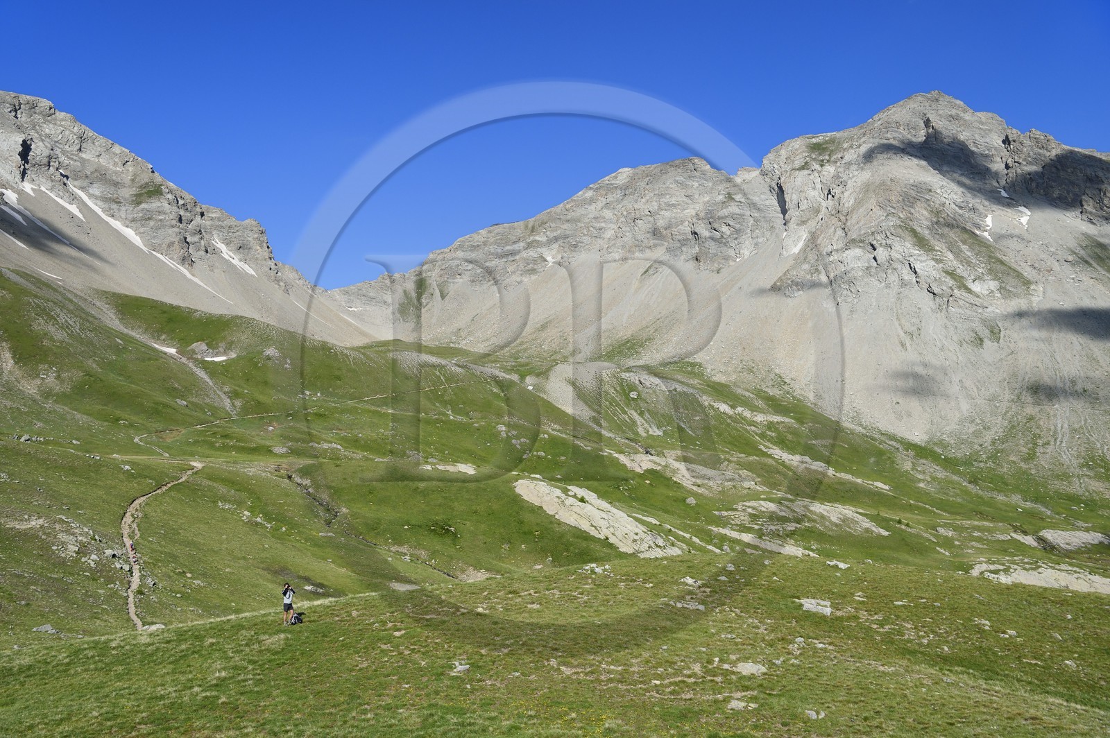 France, Alpes de Haute Provence, Uvernet Fours, Mercantour National Park, Ubaye valley, Cayolle pass (2326 m), hiking trail that climbs through the alpine lawn on the lake tour under the mountain top of the Eagle Hole