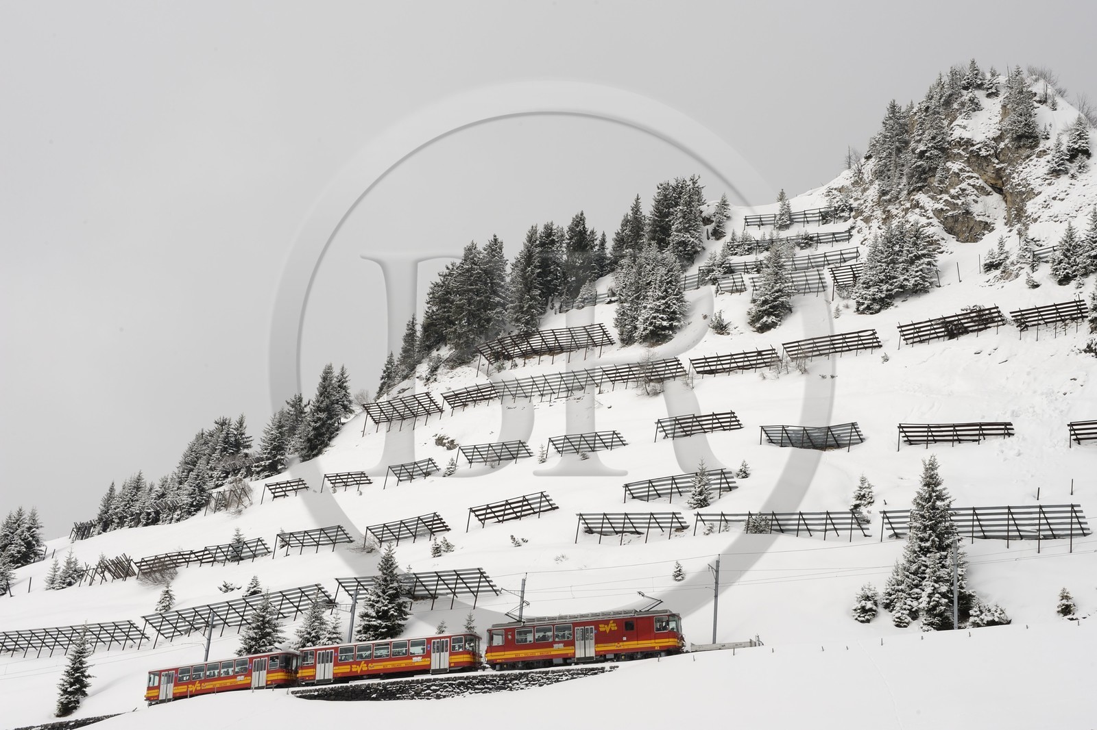 Suisse, Canton de Vaud, Domaine skiable de Villars sur Ollon -  Gryon, le train qui monte jusqu'aux pistes