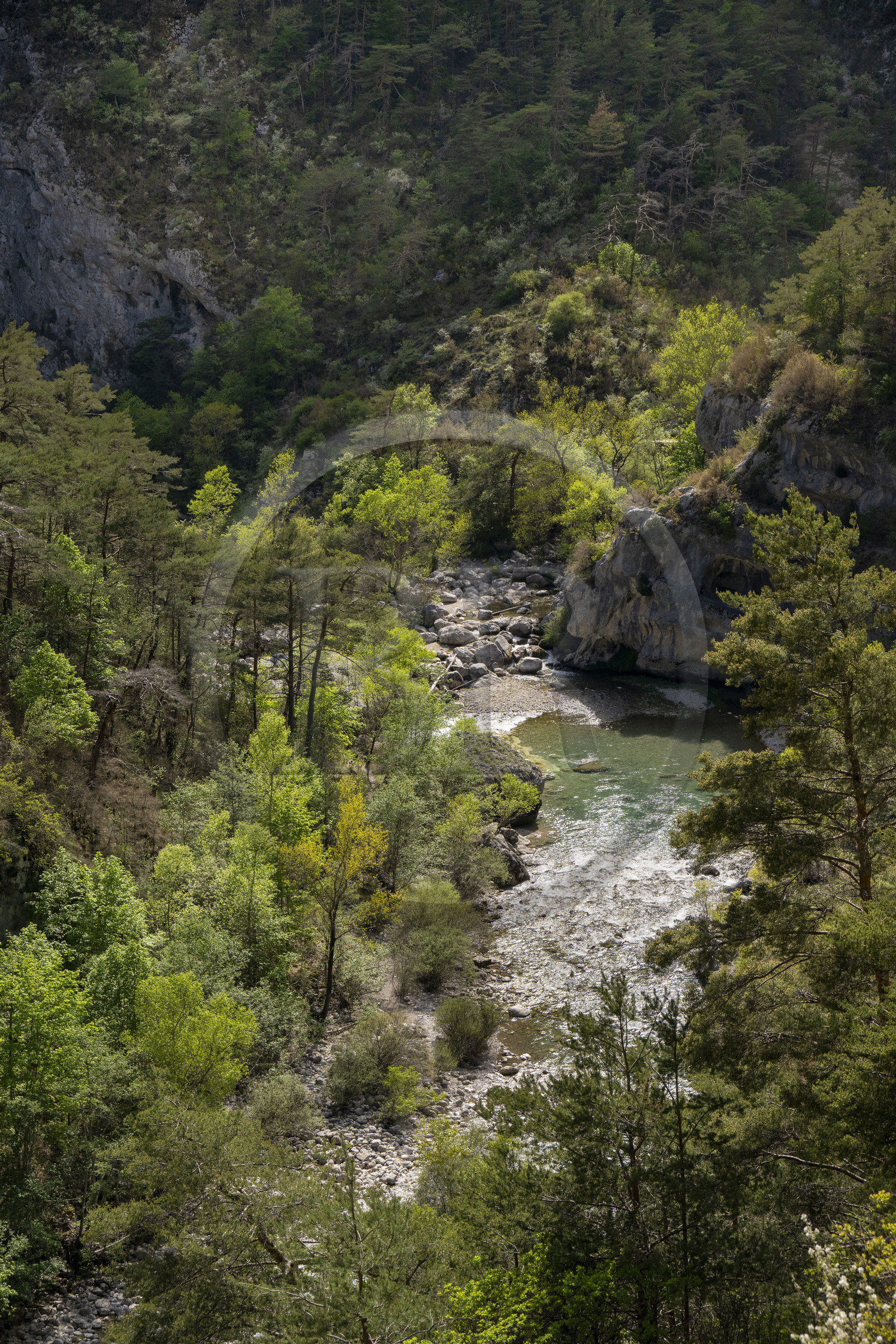 France, Alpes-de-Haute-Provence (04), Parc Naturel Régional du Verdon, Rougon, Grand Canyon du Verdon, la rivière du Verdon dans le couloir Samson et le début du sentier Blanc-Martel sur le GR4