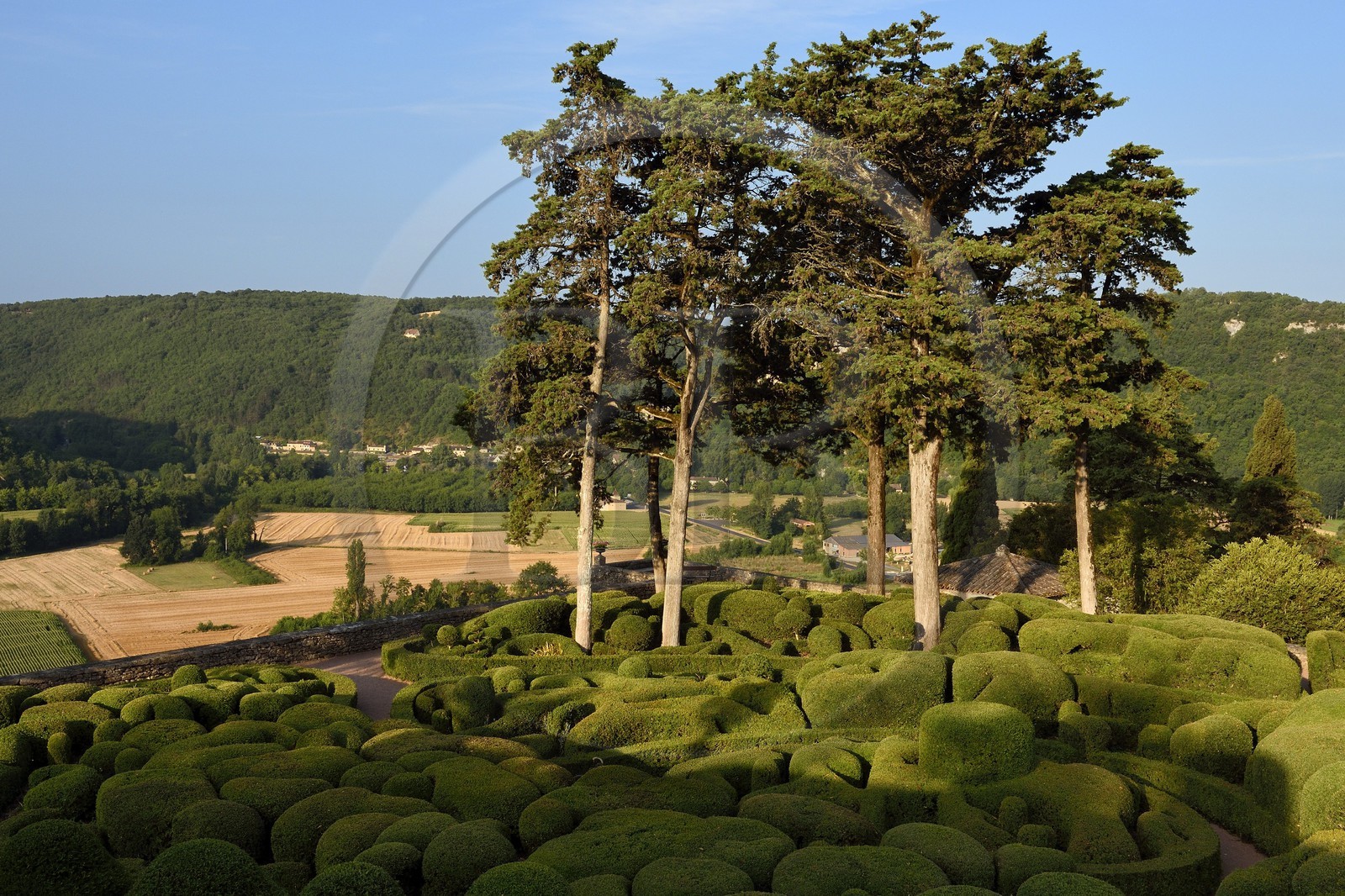 France, Dordogne (24), Périgord Noir, vallée de la Dordogne, Vézac, les jardins du château de Marqueyssac du XVIIIe siècle, jardins de buis en terrasse inspirés par André Le Nôtre
