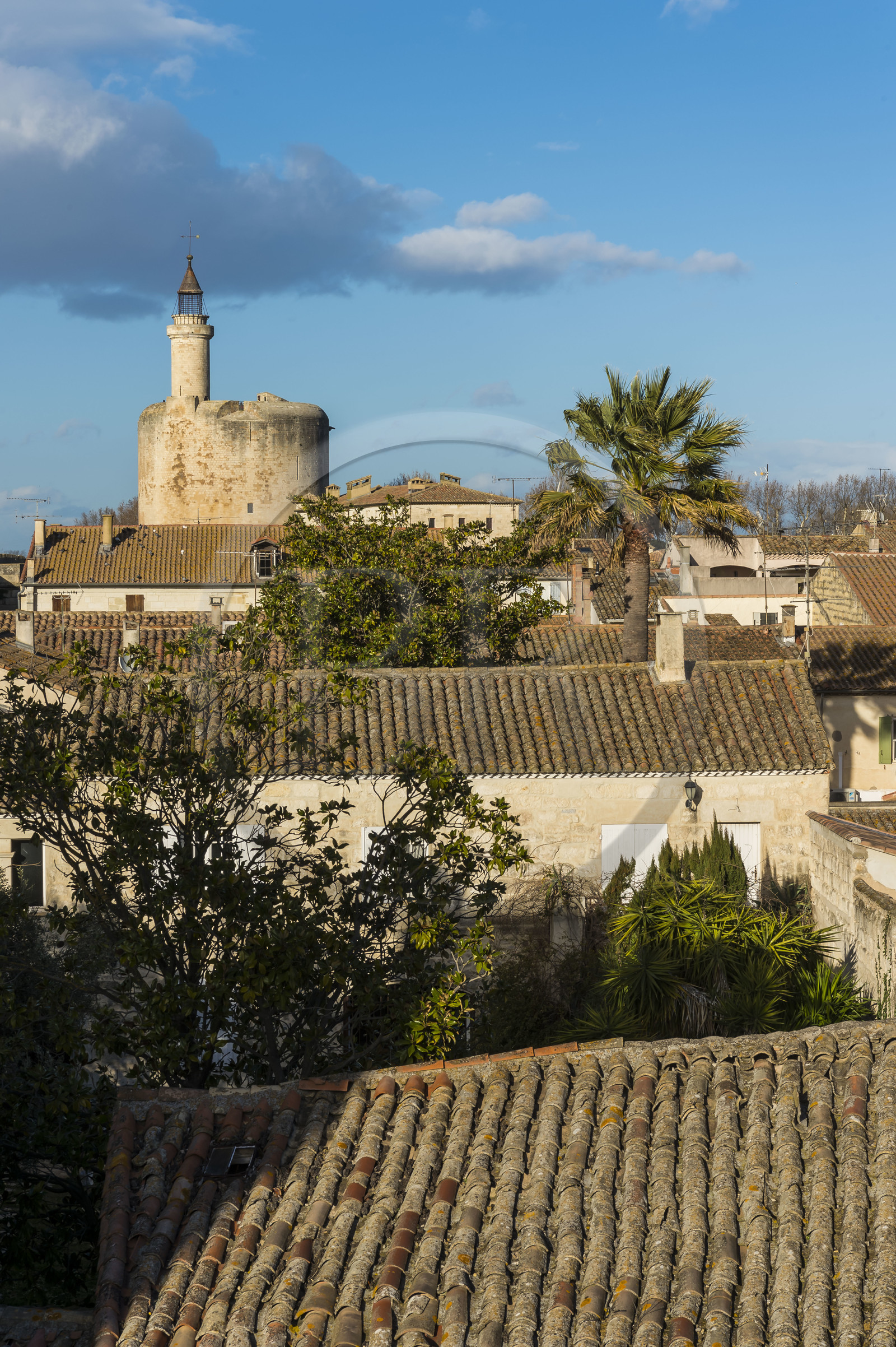 France, Gard (30), Aigues-Mortes, la Tour de Constance en bordure des remparts, maisons de la vieille ville au premier plan