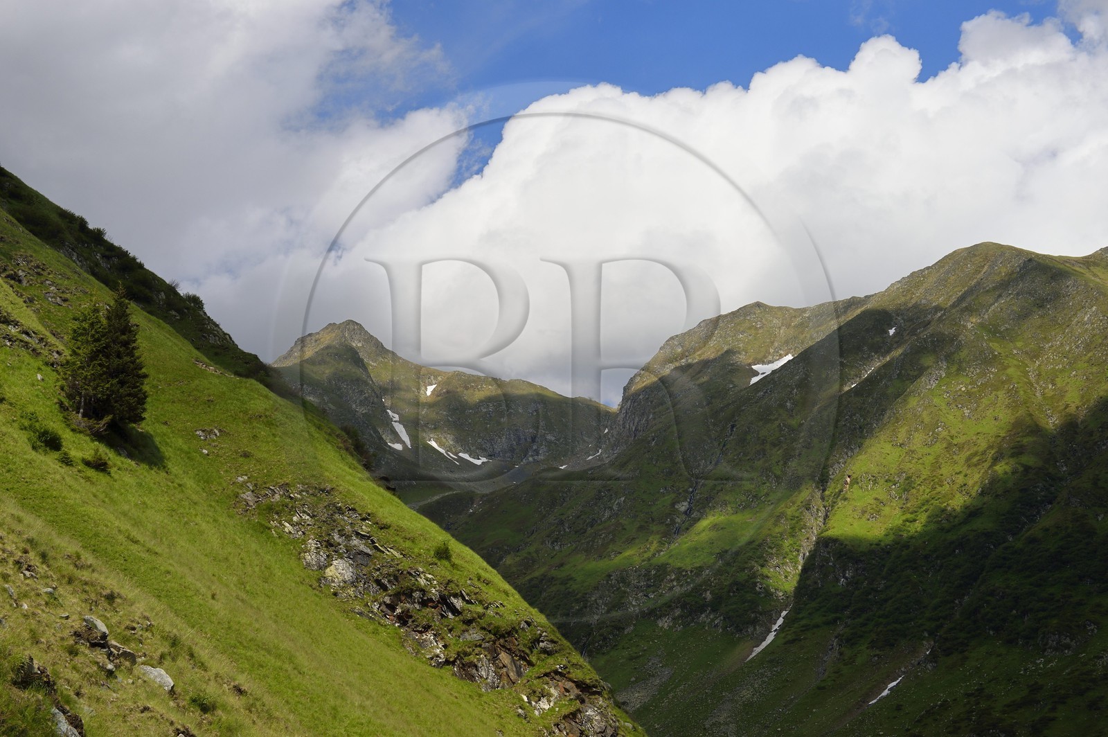 Roumanie, Valachie, Muntenie, Comté de Arges, les monts Fagaras le long de la Route Transfagarasan dans les Carpates du Sud