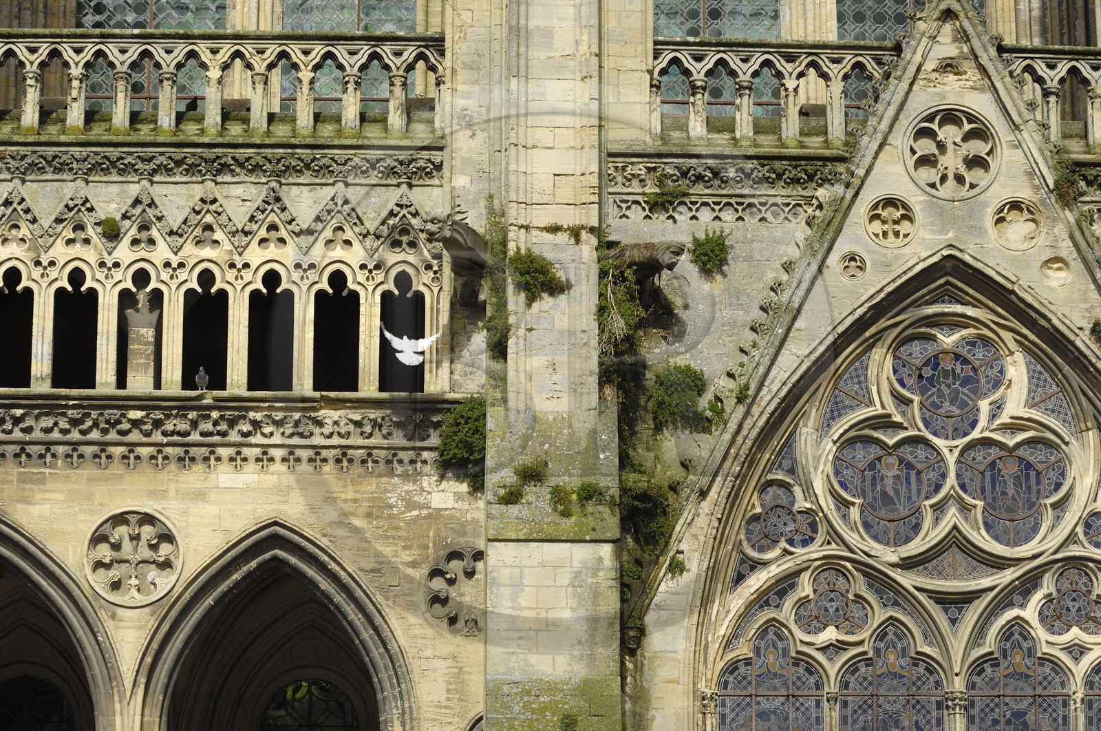 France, Calvados, Bayeux, Notre Dame cathedral