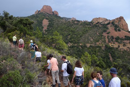 France, Var, Agay area next to Saint-Raphael, Massif de l'Esterel (Esterel Massif), hiking in the massif of Cap Roux