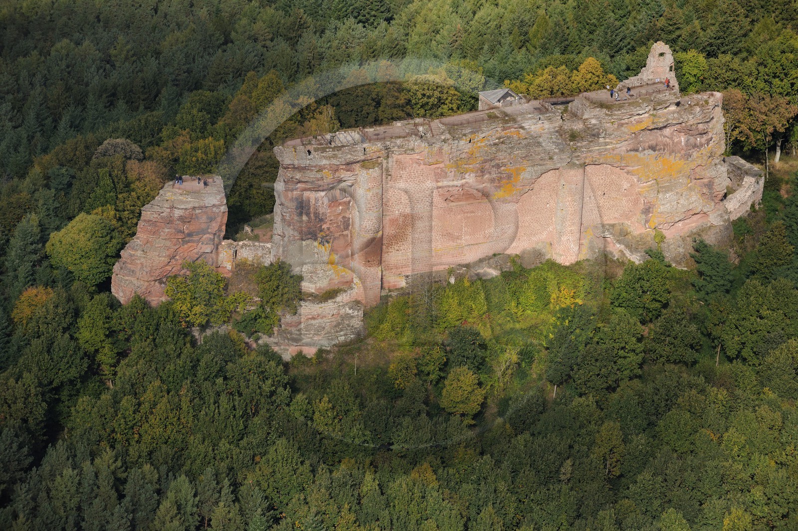 France, Bas-Rhin (67), château de Fleckenstein (photo aérienne)