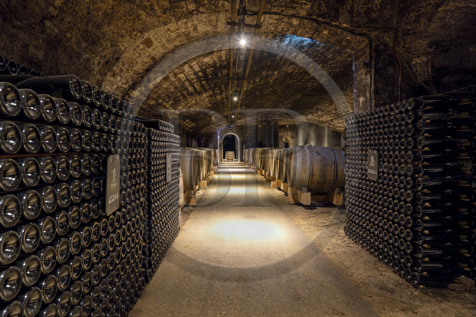 France, Cote d'Or, Climats terroirs of Burgundy listed as World Heritage by UNESCO, Beaune, the cellars of Maison Patriarche, a wine merchant-breeder company