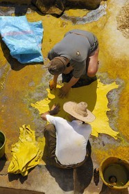 Maroc, Moyen Atlas, Fès, ville impériale, médina classée Patrimoine Mondial de l'UNESCO, Fès el Bali, quartier des tanneurs, Chouara