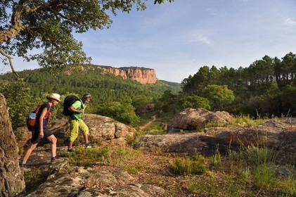 France, Var, between Bagnols en Foret and Roquebrune sur Argens, hike in the Gorges du Blavet with the tour guide Eric Gorlet