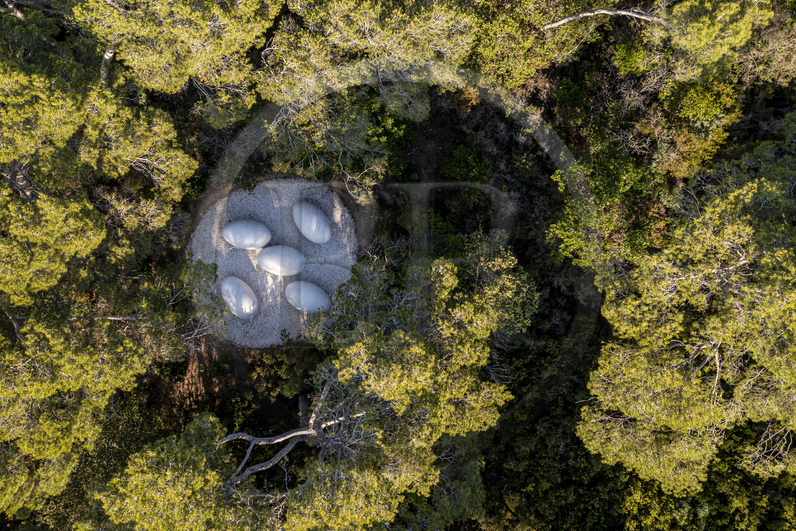 France, Var (83), Iles d'Hyères, parc national de Port Cros, Ile de Porquerolles, la Fondation Carmignac, La Couvée (2018) de Nils Udo (vue aérienne)