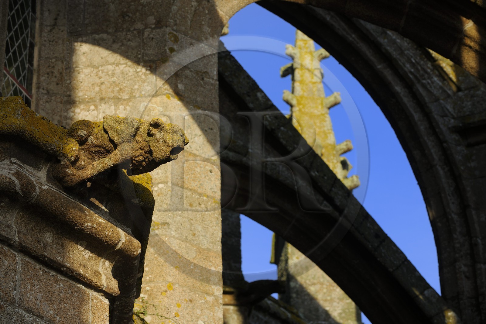 France, Manche (50), l'abbaye du Mont-Saint-Michel, classé Patrimoine Mondial de l'UNESCO, les gargouilles de l'église