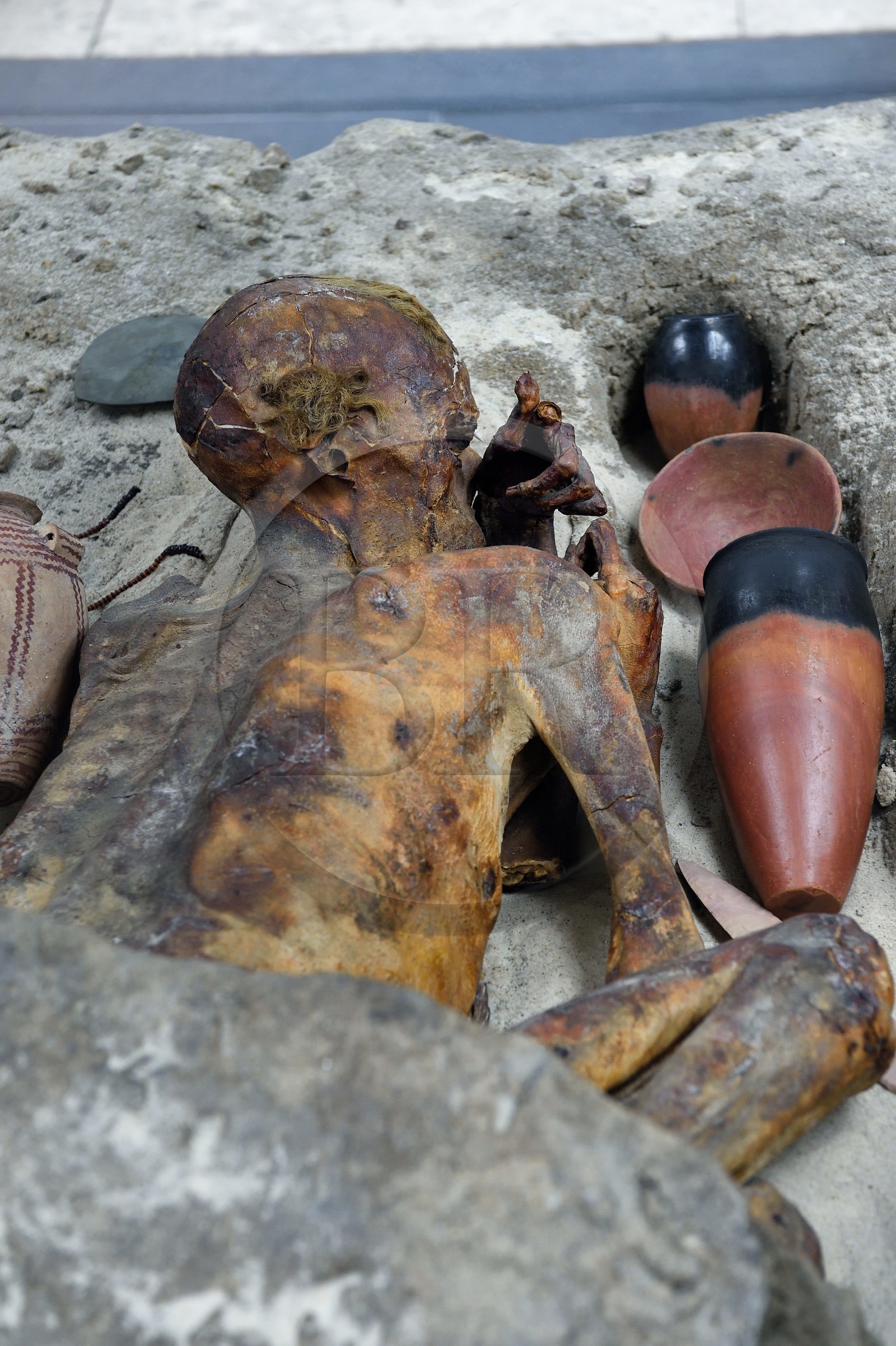 Royaume-Uni, Londres, quartier de Bloomsbury, le British Museum, Egypte ancienne, momie prédynastique de Gebelein, une momie naturelle ensevelie vers 3500 avant JC en Haute-Égypte