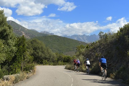 France, Haute-Corse (2B), Balagne, cyclistes sur la route D81 entre Galéria et Porto