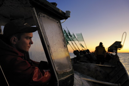 France, Seine-Maritime (76), au large de Veules-les-Roses à l'aube, pêche au filet à bord du bateau La Pomme appartenant à Anthony Paumier le plus jeune patron de pêche de France