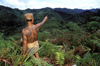 Malaisie, île de Bornéo, Sarawak, guerrier Iban tatoué, tribu des Dayaks (anciens coupeurs de têtes), montrant son terrain de chasse au cœur de la forêt primaire
