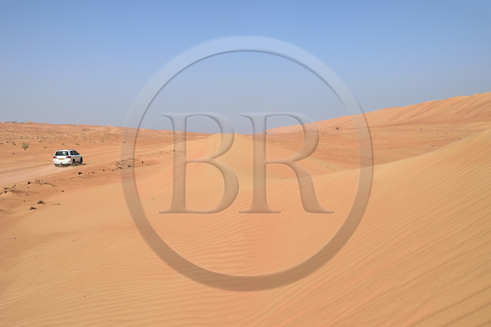 Sultanat d'Oman, gouvernorat de Ash Sharqiyah, désert des Wahiba Sands ou Sharqiya Sands, 4x4 sur la piste qui slalome entre les dunes de sable