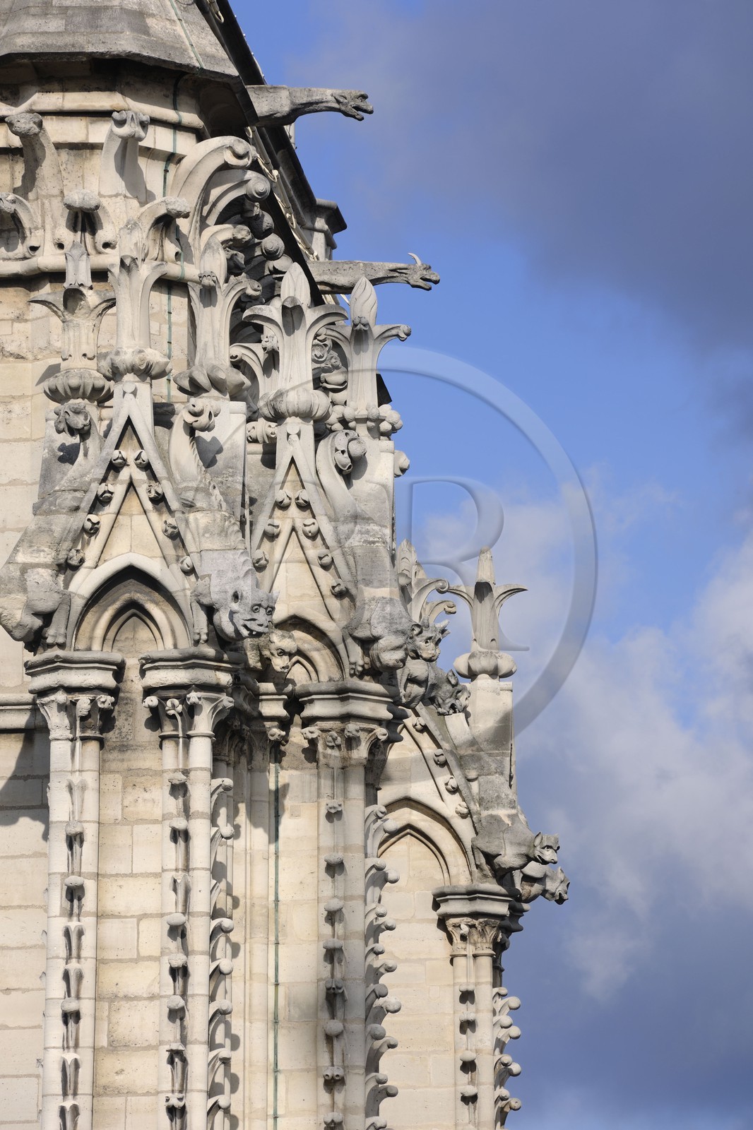 France, Paris (75), île de la Cité, la cathédrale Notre-Dame, les gargouilles et les chimères observent la ville