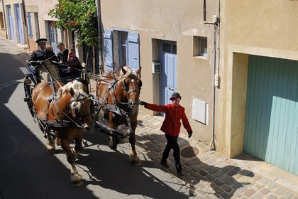 France, Saône et Loire (71), Cluny, attelage du Haras national rue d'Avril