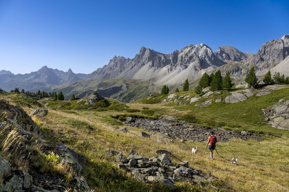 France, Hautes Alpes (05), le Briançonnais, Névache, randonneuse dans la vallée de la Clarée, le massif des Cerces et les pointes de la Main de Crépin (2942m) en arrière-plan