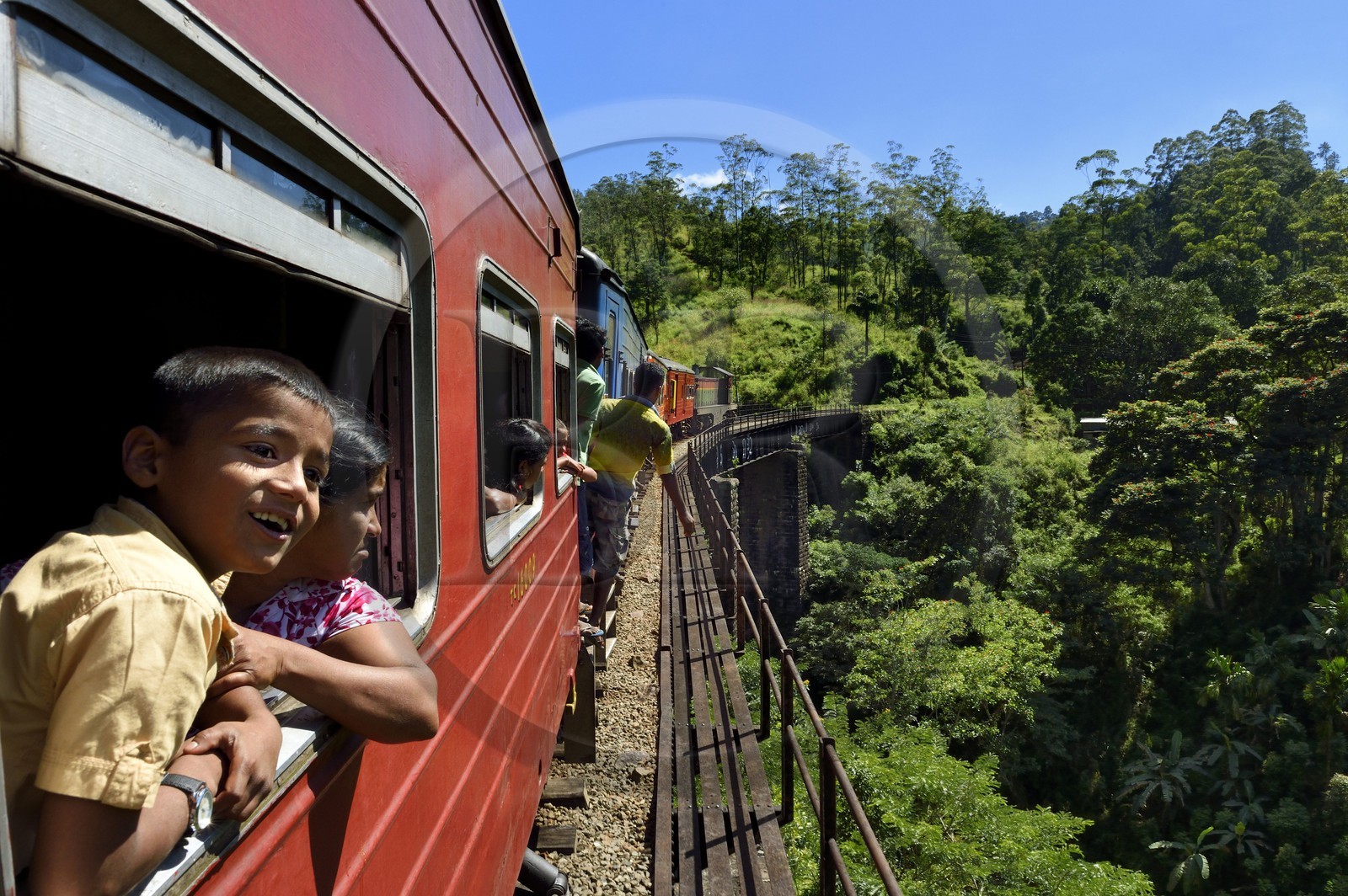 Sri Lanka, Province d'Uva, trajet en train dans la région montagneuse de la culture du thé entre Badulla et Ella
