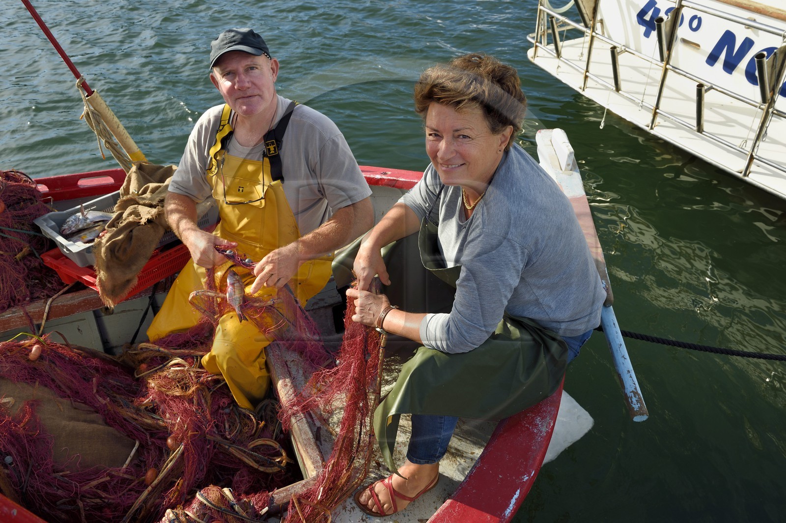 France, Var (83), Iles d'Hyères, parc national de Port Cros, Ile de Porquerolles, le quai des pêcheurs sur le port du village, le couple Martine et Jean Paul Costes sur leur bateau Le Boucanier triant la pêche du matin