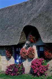 France, Finistère (29), maison traditionnelle à toit de chaume (Pays bigouden)