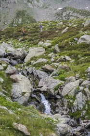 France, Alpes-Maritimes (06), parc national du Mercantour, Haute-Vésubie, Saint-Martin-Vésubie, Val du Haut Boréon, randonneurs traversant une rivière sur le sentier allant au col du Pas des Ladres