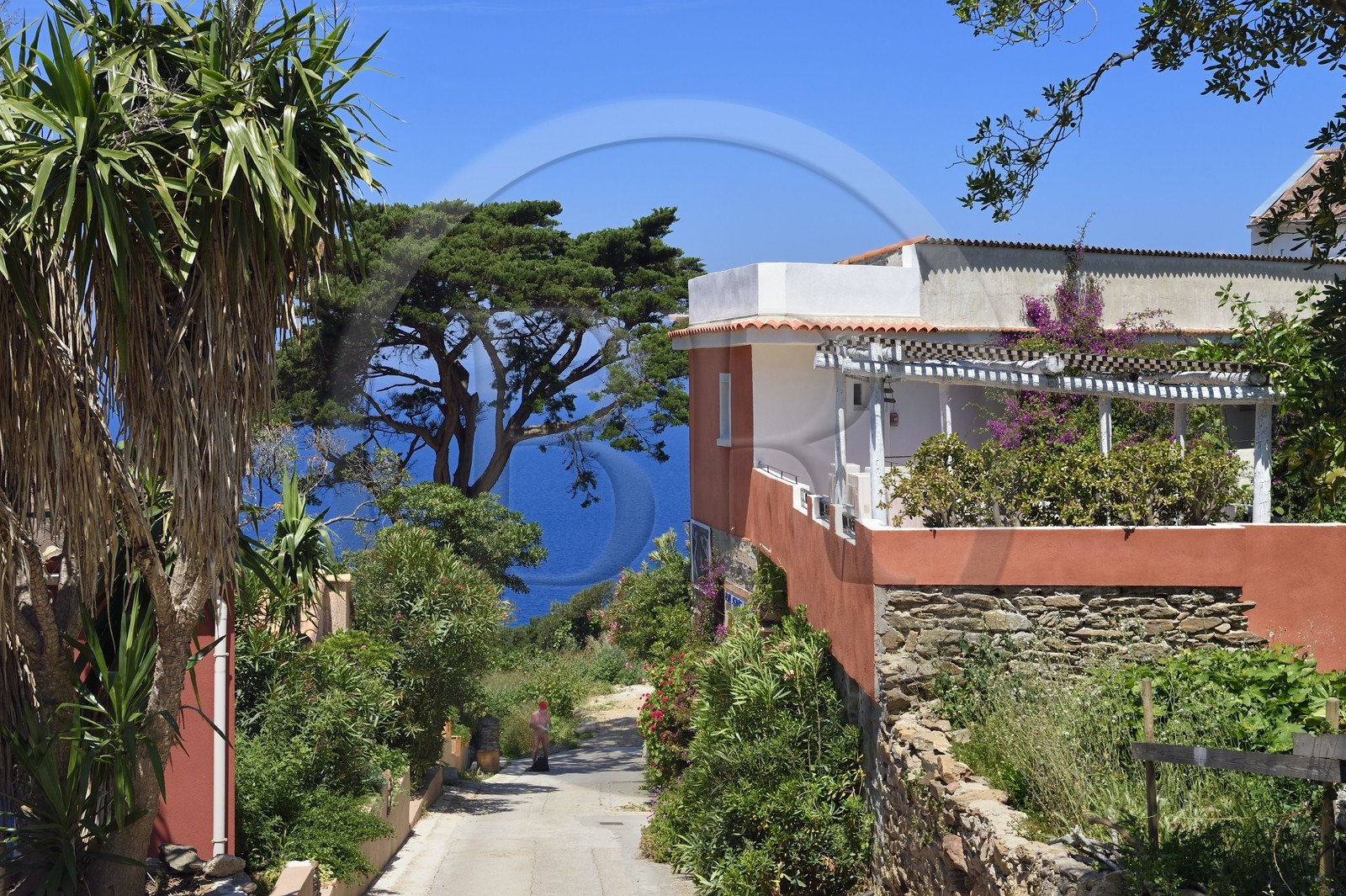 France, Var (83), Iles d'Hyères, Parc national de Port Cros, Ile du Levant, domaine naturiste d'Héliopolis, naturiste dans les ruelles du village