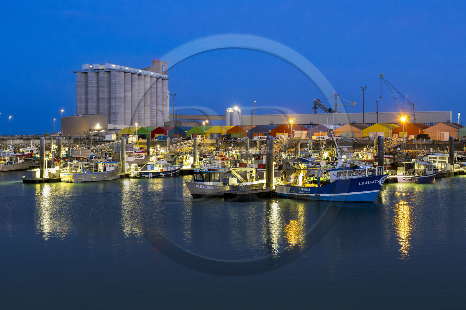 France, Charente-Maritime (17), La Rochelle, Port de pêche de Chef de Baie