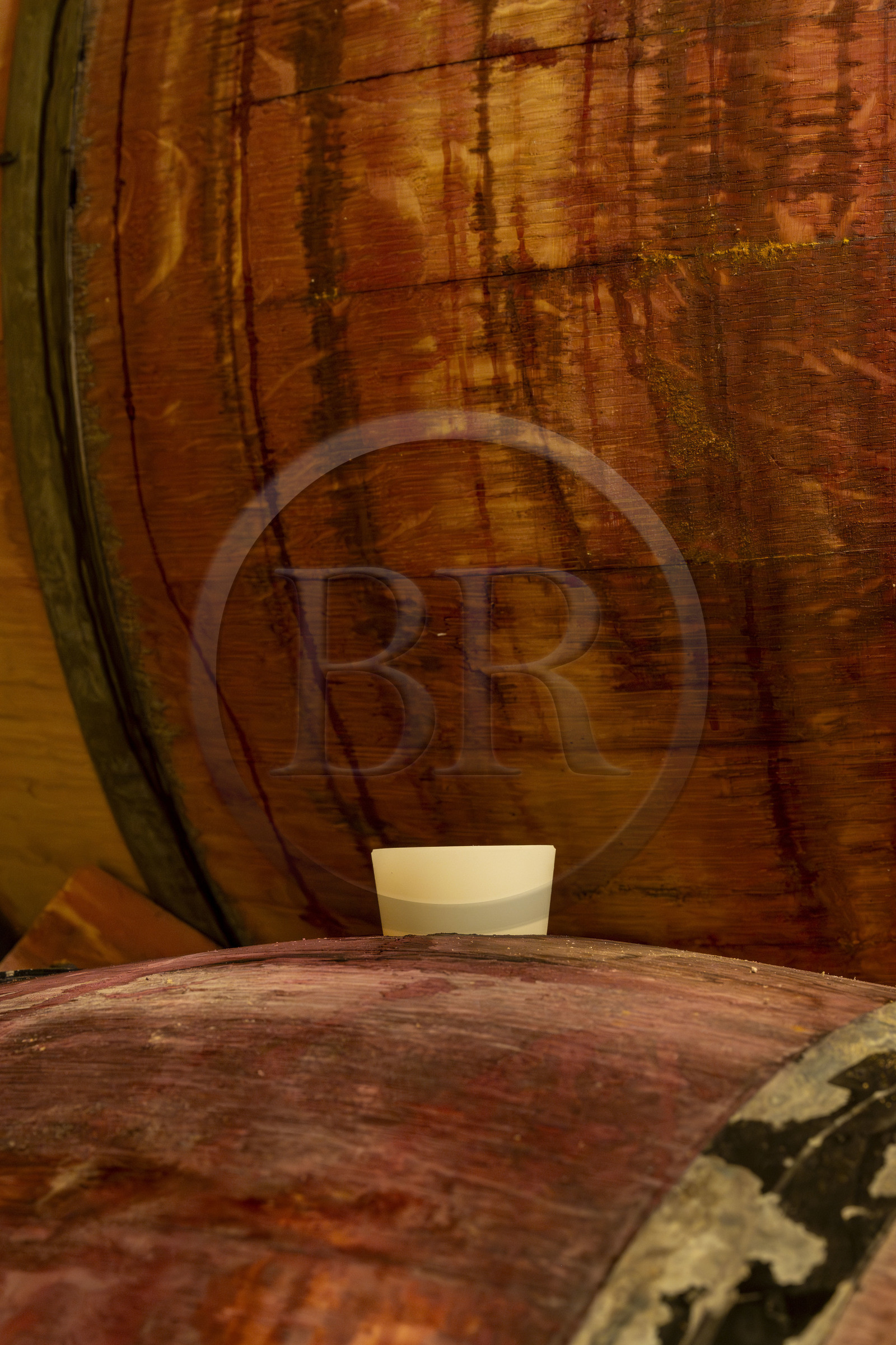 France, Côte-d'Or (21), Paysage culturel des climats de Bourgogne classés Patrimoine Mondial de l'UNESCO, Route des Grands Crus, vignoble de la Côte de Nuits, Morey-Saint-Denis, Domaine Amiot et fils, futs de vin