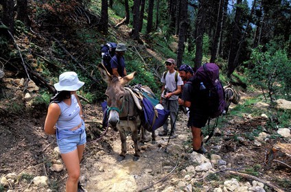 France, Hautes Alpes, hike with a donkey at the Thures pass, in the north of Briancon