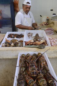 Panama, Panama City, quartier de Santa Ana, le marché aux poisson (Mercado de Mariscos)