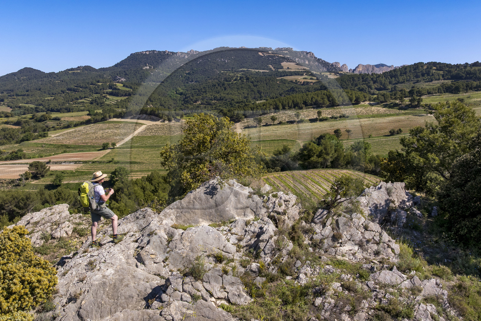 France, Vaucluse (84), Dentelles de Montmirail, Beaumes-de-Venise, randonneurs sur le plateau des Courens et la montagne du Clapis en arrière plan (vue aérienne)