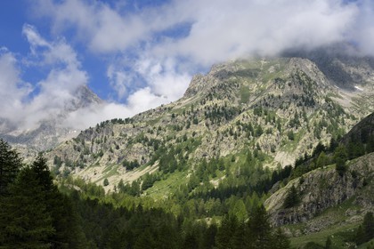 France, Alpes-Maritimes (06), parc national du Mercantour, vallée de la Valmasque, sommets de la haute Valmasque et la cime de l'Agnel (2927m)