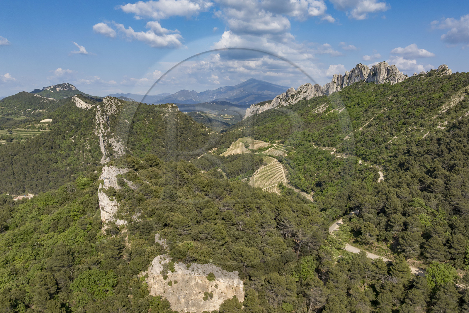 France, Vaucluse (84), Dentelles de Montmirail, Gigondas, la montagne des Dentelles Sarrasines et les vignobles en restanques au col du Cayron, le Mont Ventoux en arrière plan (vue aérienne)
