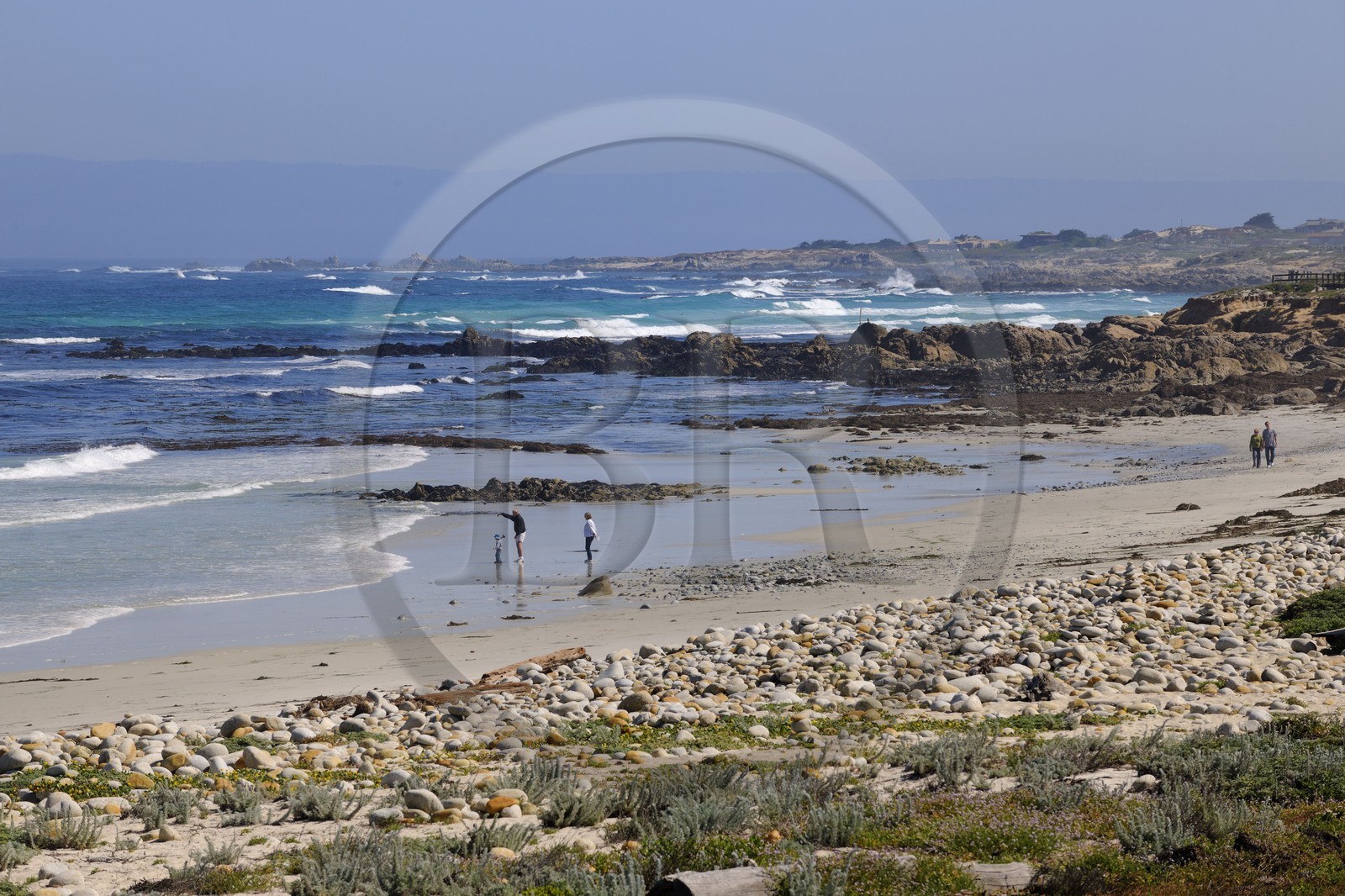 Etats-Unis, Californie, 17 mile drive, Spanish Bay