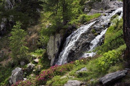 France, Alpes-Maritimes, parc national du Mercantour (Mercantour National Park), Valmasque valley, ice bolt waterfall