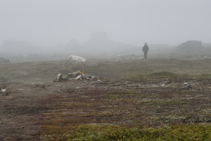 Groenland, cote ouest, Ile de Disko, Qeqertarsuaq, randonneur dans la brume marchant dans la toundra