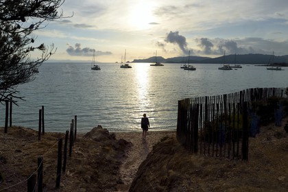 France, Var (83), Iles d'Hyères, parc national de Port Cros, Ile de Porquerolles, Anse du bon Renaud, plage d'Argent