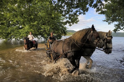France, Nièvre (58), lac de Pannecière, Alain Perruchot agriculteur et éleveur de chevaux au commande de son attelage