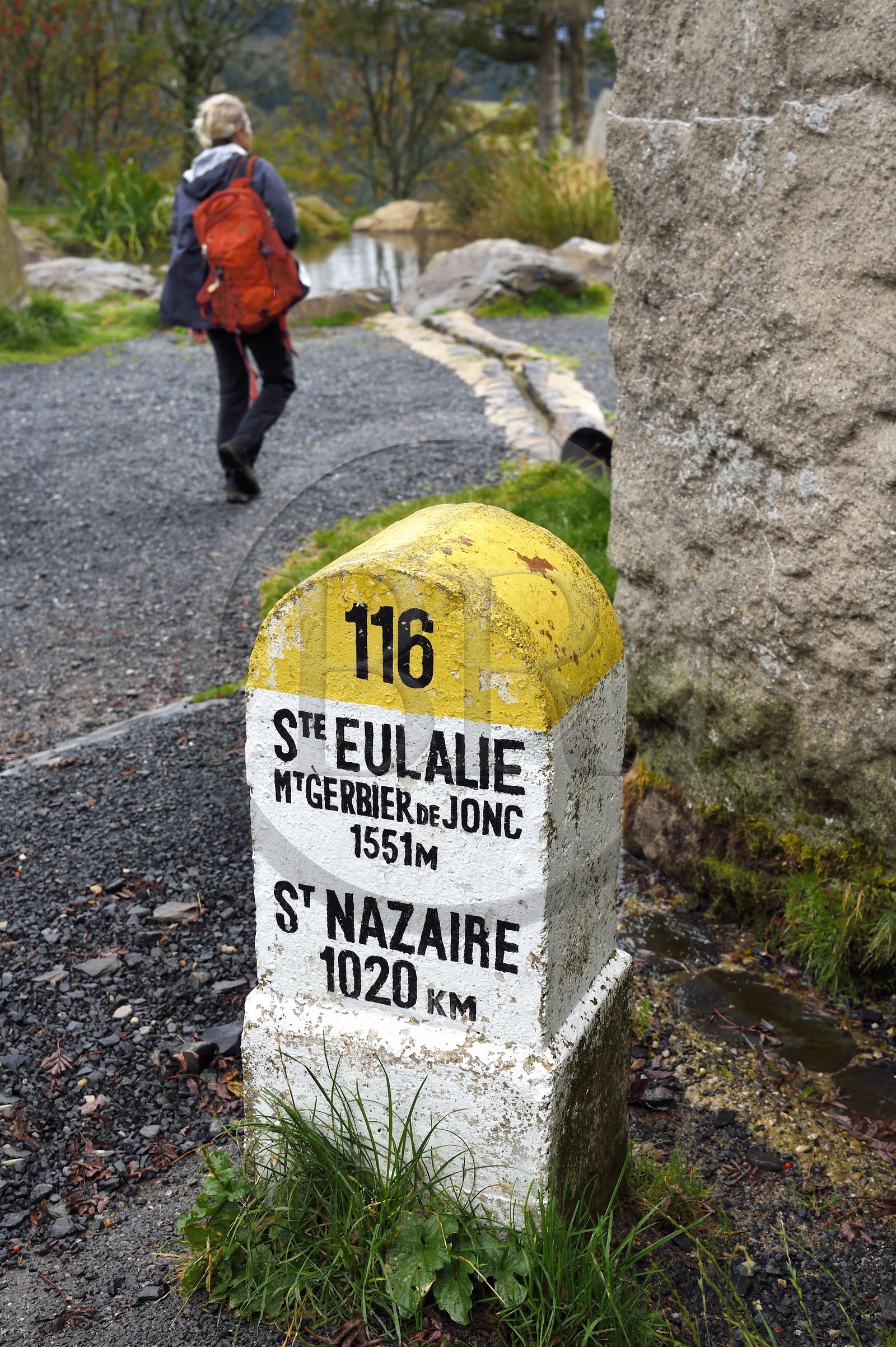France, Ardèche (07), parc naturel régional des Monts d'Ardèche, Massif du Mézenc, au pied du Mont Gerbier-de-Jonc (1551 m), parmis les trois sources de la Loire, borne de la source géographique devant la Ferme de la Loire de M. Eric Maréchal à Sainte-Eulalie
