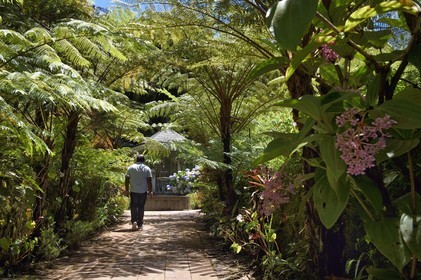 France, Ile de la Reunion, Cirque de Salazie, classé Patrimoine Mondial de l'UNESCO, Hell-Bourg, labellisé les Plus Beaux Villages de France, gloriette et fougères arborescentes dans les luxuriant jardins de la Villa ou Maison Folio