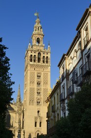 Espagne, Andalousie, Séville, quartier de Santa Cruz, la Giralda, ancien minaret almohade de la Grande Mosquée reconverti en clocher de la cathédrale, classé Patrimoine Mondial de l'UNESCO