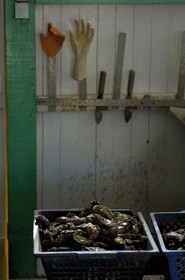 France, Charente-Maritime (17), Ile d'Oléron, le chenal d'Ors, port ostréicole, nettoyage des huitres