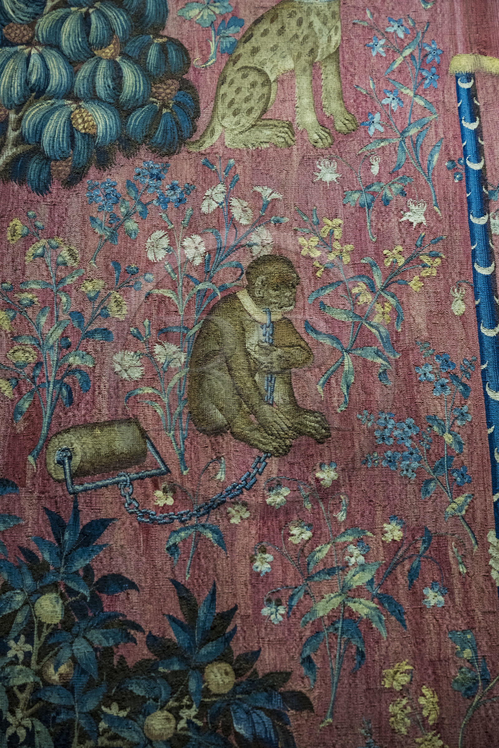 France, Paris (75), Musée de Cluny - Musée national du Moyen-Age, tapisseries de la Dame à la Licorne, le singe dans Le Toucher