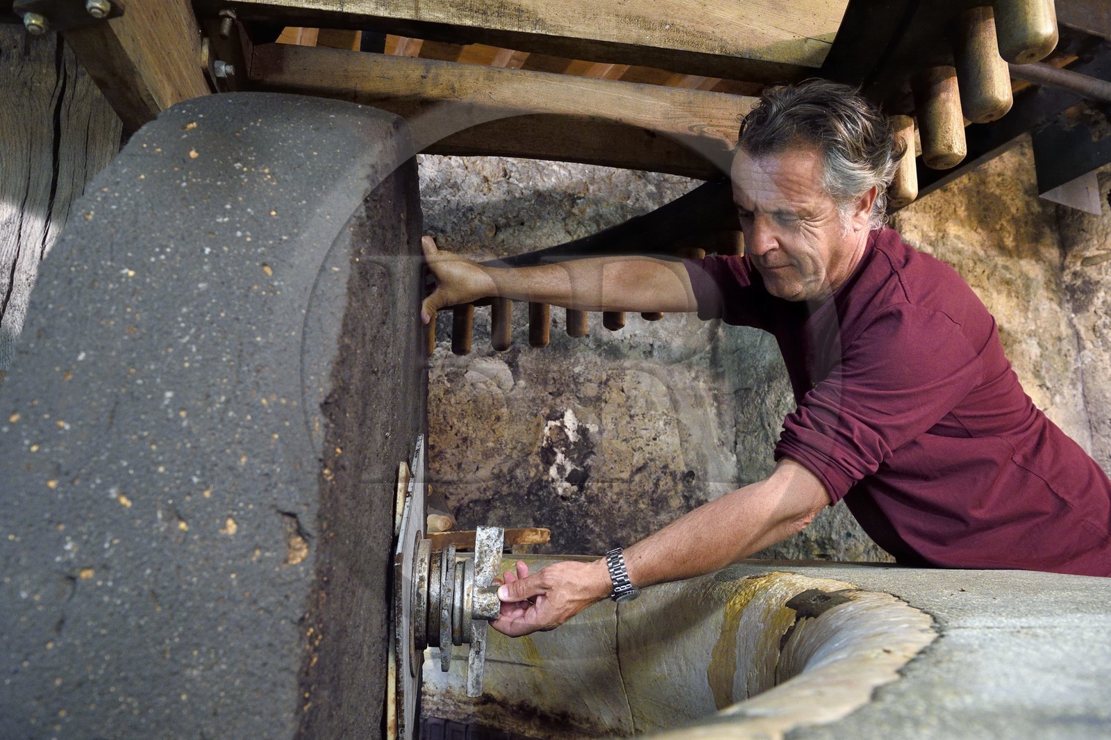 France, Var (83), La Dracénie, village de Tourtour, labellisé Les Plus Beaux Villages de France, le maitre moulinier Jean-Marc Simon devant le moulin oléicole communal