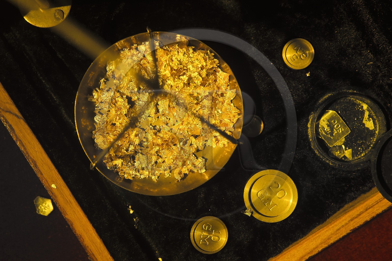 France, Dordogne, Jumilhac-le-Grand, gold panning in the Isle river toward Tindeix, the Galerie de l'Or museum