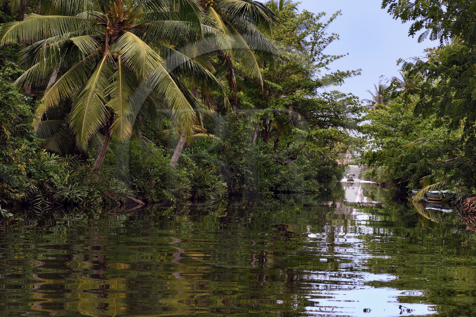 Sri Lanka, Province de l'Ouest, canal hollandais (Hamilton Canal) entre Colombo et Negombo vers Uswetakeiyawa