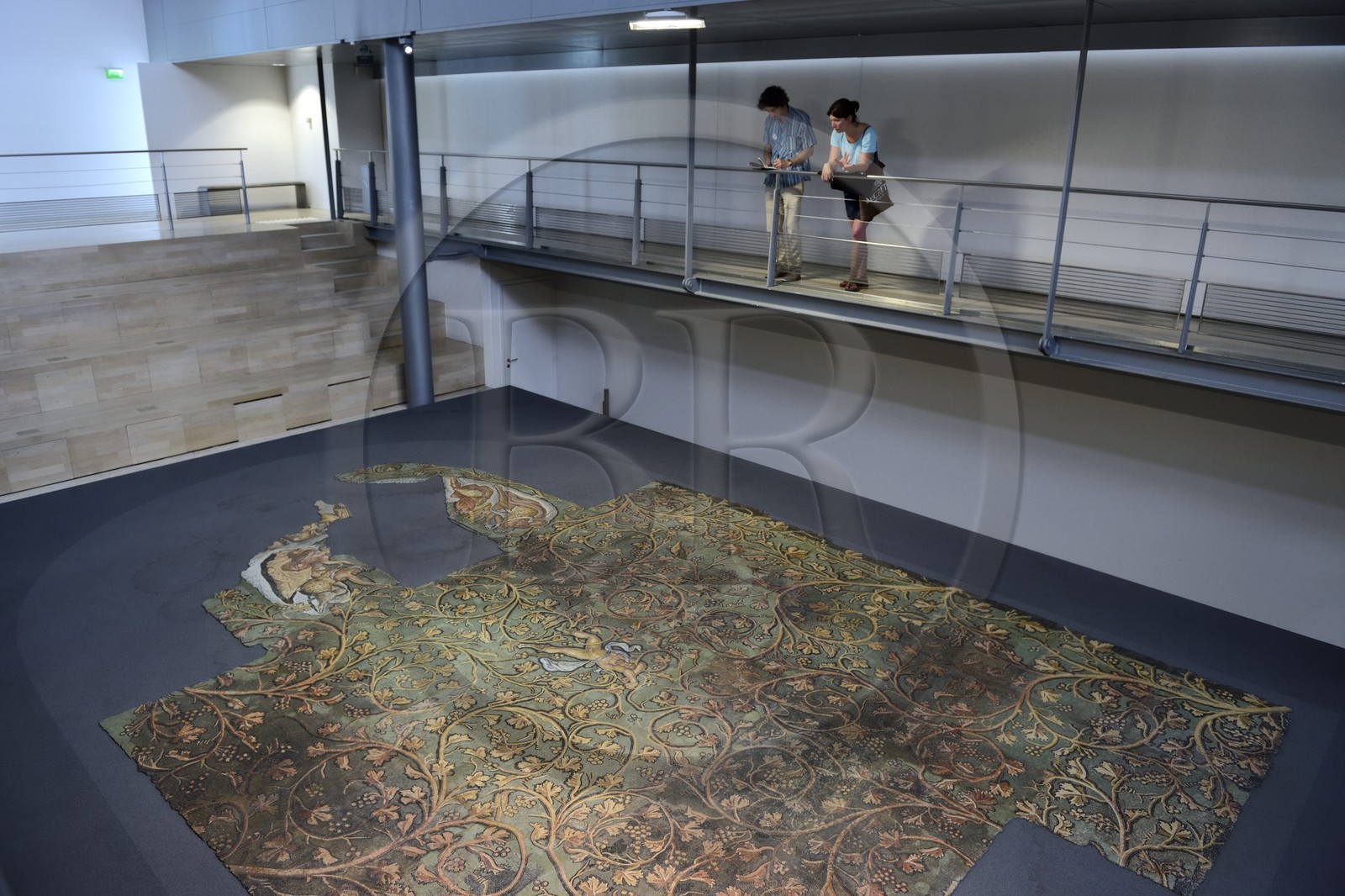 France, Rhône (69), Saint-Romain-en-Gal, musée gallo-romain de Saint-Romain-en-Gal, mosaïque du châtiment de Lycurgue datant du IIe siècle après J.C.